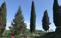 Photo de Villa Sabrina Faite par un Client