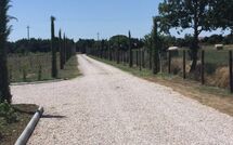 Photo de Villa dei Vini Faite par un Client