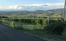 Photo de San Carlo Faite par un Client