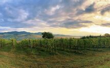 Photo de San Carlo Faite par un Client