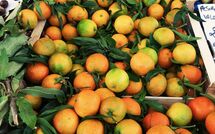 Photo de San Carlo Faite par un Client