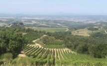 Photo de Villa Il Caggio Faite par un Client