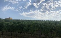 Photo de Villa Il Caggio Faite par un Client