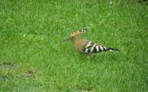 Photo de Casa Lucia Faite par un Client