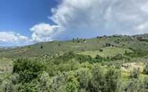 Photo de Villa Nora Faite par un Client