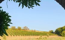 Photo de Casa Maria Luisa Faite par un Client