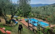 Photo de La Ruota Faite par un Client