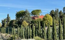 Photo de Tenuta Cambiano Faite par un Client