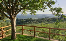 Photo de San Guido Faite par un Client