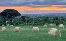 Photo de Casale San Martino Faite par un Client