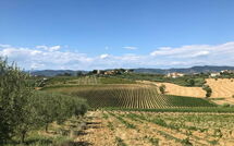 Photo de Nicola Faite par un Client