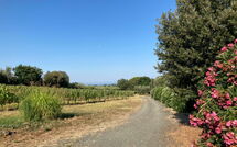 Photo de Poderino Faite par un Client