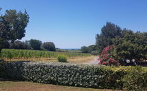 Photo de Poderino Faite par un Client