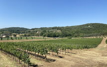 Photo de Villa Ulivi Faite par un Client