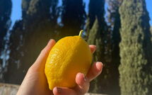 Photo de Montegufoni Faite par un Client