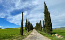 Photo de Villa Cassia Faite par un Client