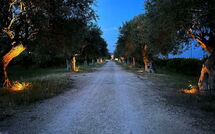 Photo de Tenuta Olearum Faite par un Client