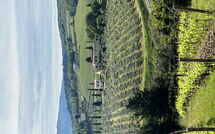 Photo de Tenuta Faite par un Client