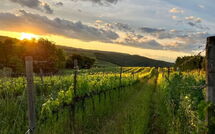 Photo de Villa Il Caggio Faite par un Client