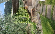 Photo de Villa Bellostare Faite par un Client