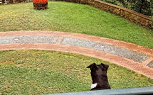 Photo de Villa Contessa Faite par un Client