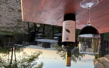 Photo de Panzalla - Rondini Faite par un Client