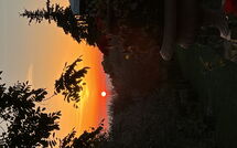 Photo de Panzalla - Rondini Faite par un Client