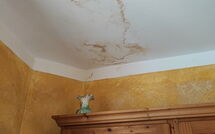 Photo de Il Gualdo - Paggio Faite par un Client