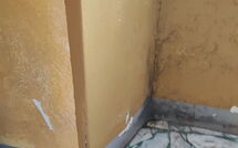 Photo de Il Gualdo - Paggio Faite par un Client