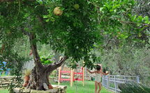 Photo de Villa Eftychia Faite par un Client