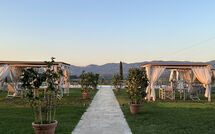 Photo de Il Sole di Vino - Sole di Vino - 2 Faite par un Client