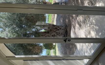 Photo de Tenuta Olearum Faite par un Client