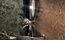 Photo de Tenuta Olearum Faite par un Client