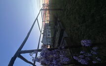 Photo de Il Sole di Vino Faite par un Client