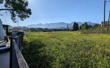 Photo de Beach Villa Christina Faite par un Client