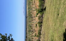 Photo de Villa Casale Faite par un Client