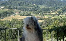 Photo de Villa Roberto Faite par un Client