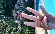 Photo de Votana House Faite par un Client