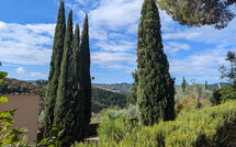 Photo de Bigiolo a Melazzano Faite par un Client