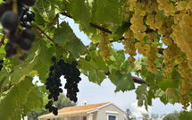 Photo de Villa Armonia Faite par un Client