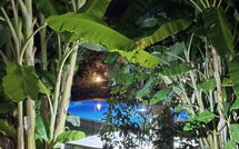 Photo de Klapas Faite par un Client