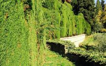 Photo de Montegufoni Faite par un Client