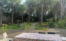 Photo de Nerodavola Faite par un Client