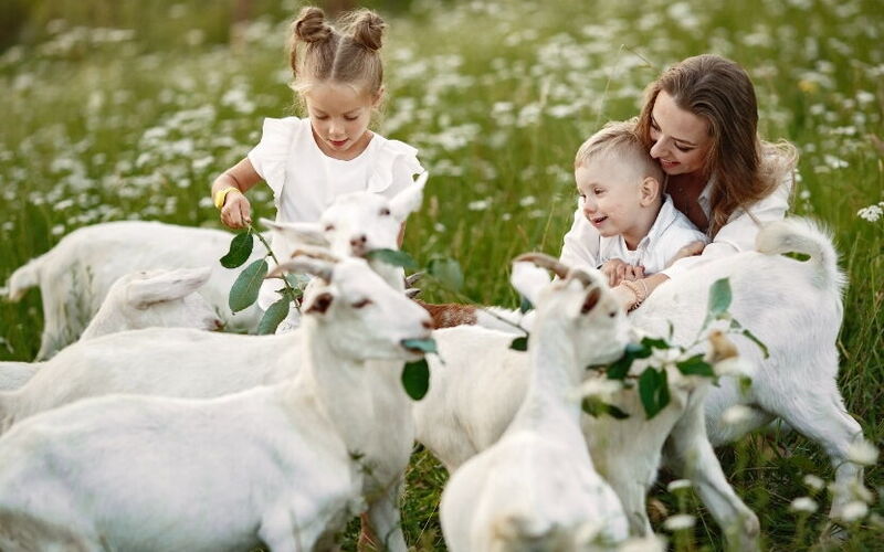 Expérience à la ferme 